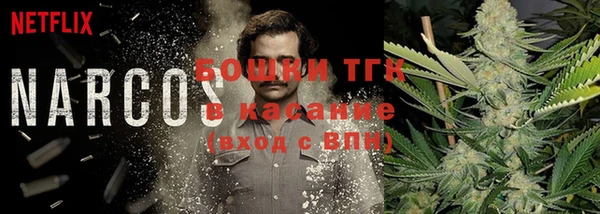 мяу мяу кристалл Корсаков