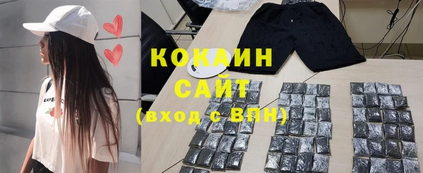 молекула духа Костерёво
